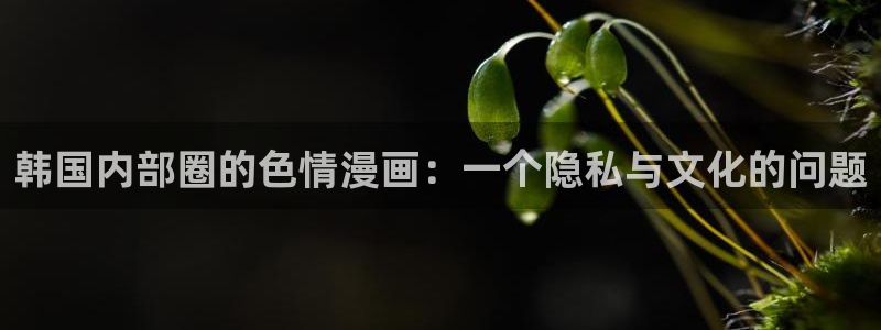 漫蛙漫画：韩国内部圈的色情漫画：一个隐私与文化的问题
