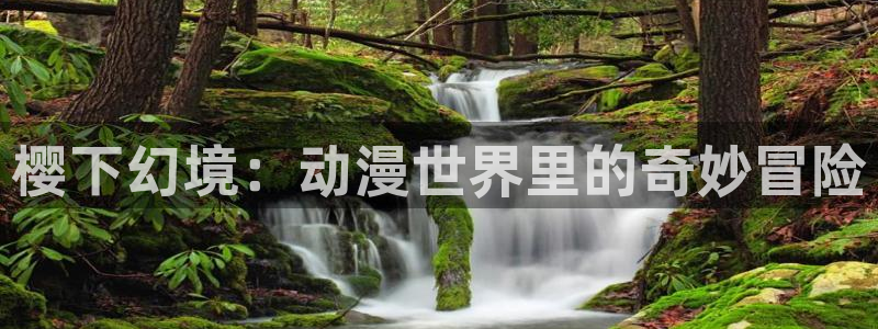 o站漫蛙漫画：樱下幻境：动漫世界里的奇妙冒险