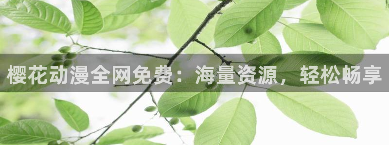 o站(omofun)官网：樱花动漫全网免费：海量资源，轻松畅享
