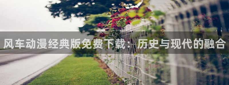 omofun动漫在线观看看：风车动漫经典版免费下载：历史与现代的融合