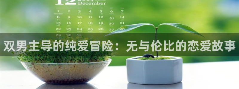 omofun下载安装：双男主导的纯爱冒险：无与伦比的恋爱故事