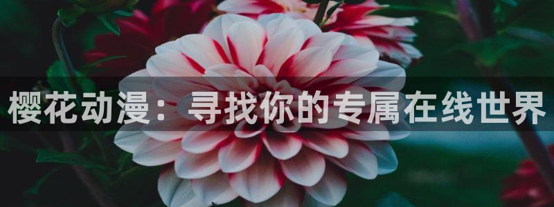 .omofun：樱花动漫：寻找你的专属在线世界