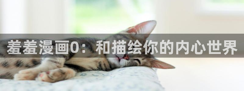 omofunpc：羞羞漫画0：和描绘你的内心世界
