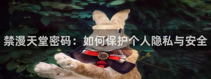 omofun网页入口：禁漫天堂密码：如何保护个人隐私与安全