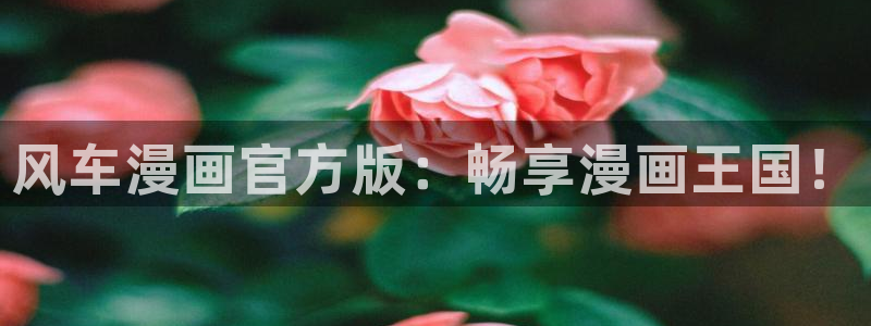 omofun.worko：风车漫画官方版：畅享漫画王国！
